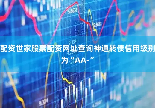 配资世家股票配资网址查询神通转债信用级别为“AA-”